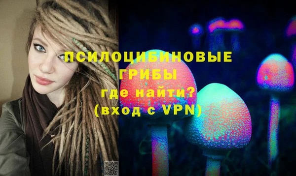 стаф Волосово