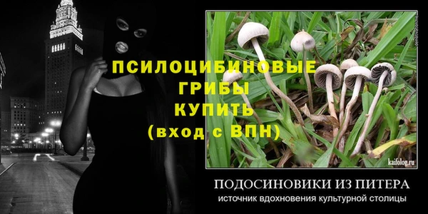 стаф Волосово