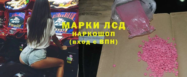 индика Бронницы
