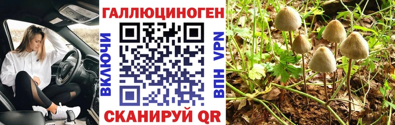 Псилоцибиновые грибы Cubensis  Самара 
